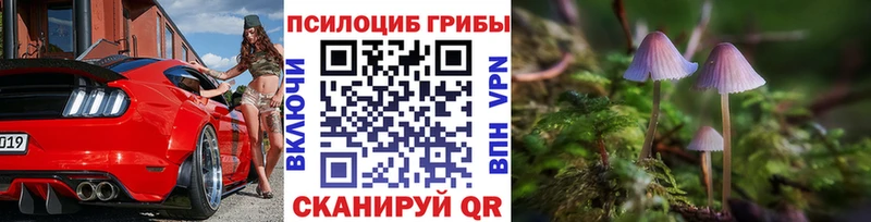 Псилоцибиновые грибы Psilocybe  Купить где  Сыктывкар
